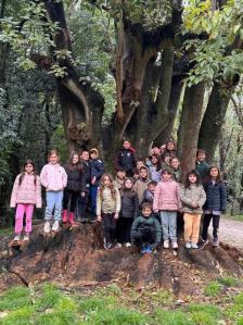 Nivel Primario · Campamento 3° Grado · 2025