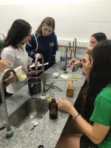 Trabajo en el Laboratorio 5° año · Mayo 2026