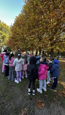 Nivel Primario · Campamento 2° Grado · 2026
